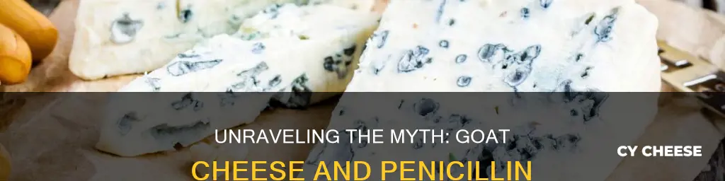 does goat cheese have penicillin