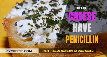 Goat Cheese and Penicillin: What's the Connection?