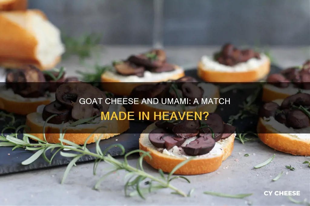 does goat cheese have umami