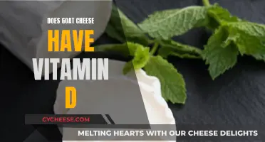 Goat Cheese: A Vitamin D-Rich Dairy Option