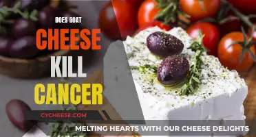 Goat Cheese: Cancer-Fighting Superfood?