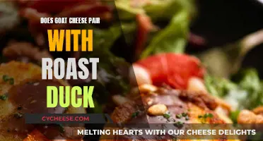 Goat Cheese and Roast Duck: A Culinary Adventure