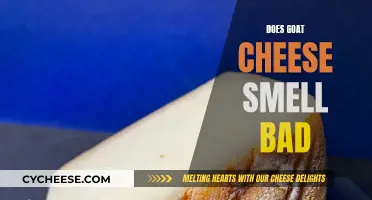 Goat Cheese: Why Does It Smell So Bad?