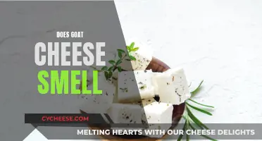 Unveiling the Scent: Does Goat Cheese Smell Like You Think?