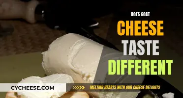 Unveiling the Unique Flavor: Does Goat Cheese Taste Different?