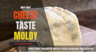 Unveiling the Flavor: Does Goat Cheese Taste Moldy?