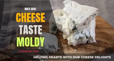 Goat Cheese: Why Does It Taste Moldy?