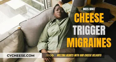 Goat Cheese and Migraines: What's the Connection?