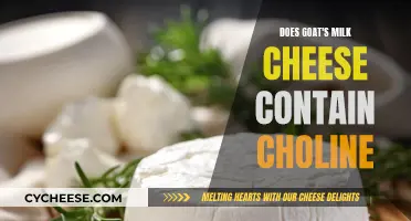 Goat's Milk Cheese: Choline Content and Nutritional Benefits