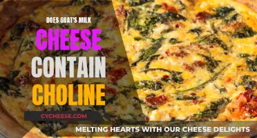 Goat Milk Cheese: A Rich Source of Choline?