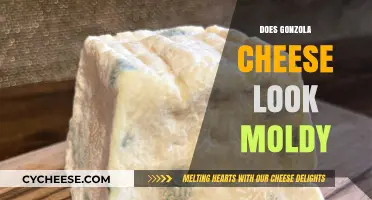 Is Your Gorgonzola Spoiled or Perfectly Molded? Find Out!