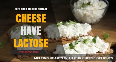 Does Good Culture Cottage Cheese Contain Lactose? A Detailed Look