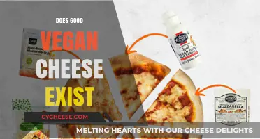 Vegan Cheese: Delicious or Disgusting?