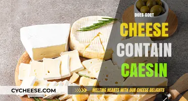 Does Goqt Cheese Contain Casein? A Comprehensive Analysis