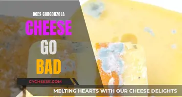 Gorgonzola Cheese: How Long Does It Last?