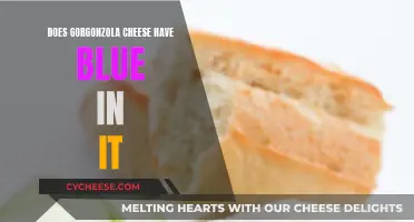 Gorgonzola Cheese: Why It's Blue and What It Means