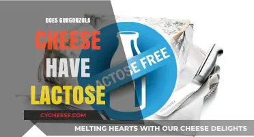 Gorgonzola Cheese and Lactose: What You Need to Know