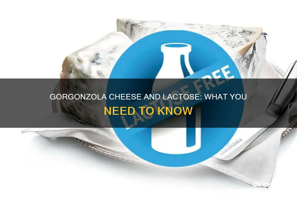 does gorgonzola cheese have lactose