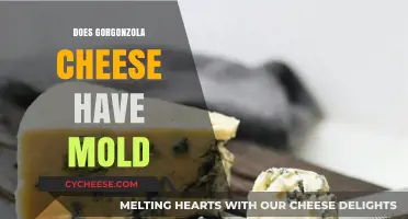 Gorgonzola Cheese: Understanding Its Moldy Nature and Flavor Profile