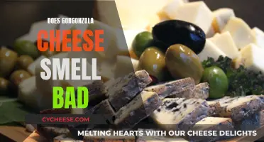 Gorgonzola Cheese: Why the Smell is Strong
