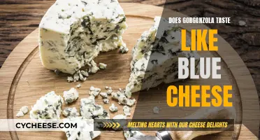 Gorgonzola and Blue Cheese: What's the Difference in Taste?