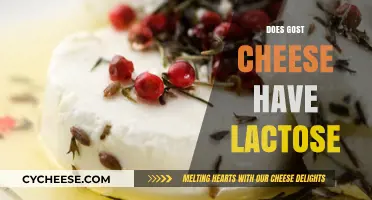 Does Goat Cheese Have Lactose? Uncovering the Truth for Dairy Sensitivity