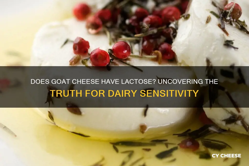 does gost cheese have lactose