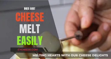Goat Cheese Melting: Easy or Tricky?
