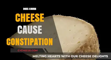 Gouda Cheese and Constipation: Unraveling the Digestive Impact