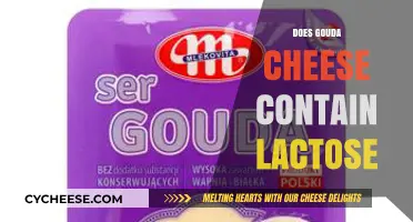 Does Gouda Cheese Contain Lactose? A Comprehensive Guide for Cheese Lovers
