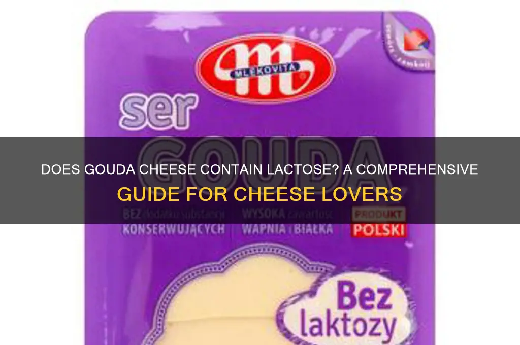 does gouda cheese contain lactose