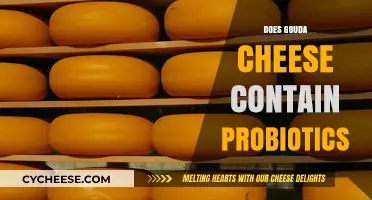 Gouda Cheese and Probiotics: Uncovering the Truth About Its Benefits