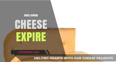 Does Gouda Cheese Expire? Shelf Life, Storage Tips, and Freshness Guide