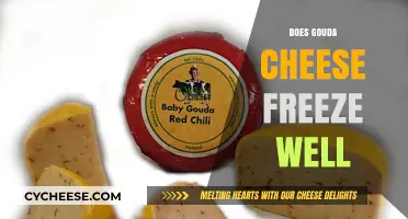 Can Gouda Cheese Be Frozen? Tips for Preserving Its Flavor