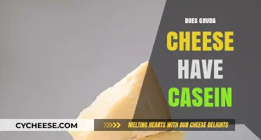 Does Gouda Cheese Contain Casein? Uncovering the Truth for Cheese Lovers