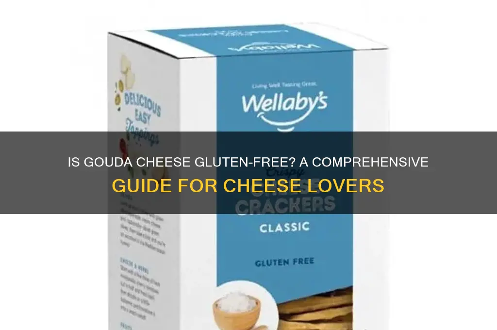 does gouda cheese have gluten