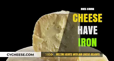 Gouda Cheese and Iron: Nutritional Facts and Health Benefits