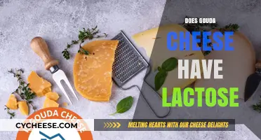 Gouda Cheese and Lactose: What You Need to Know