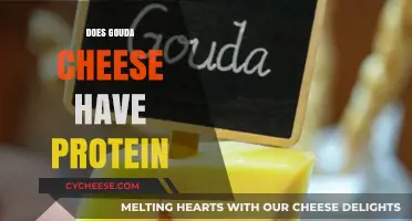 Gouda Cheese Protein Content: Nutritional Benefits and Facts Revealed