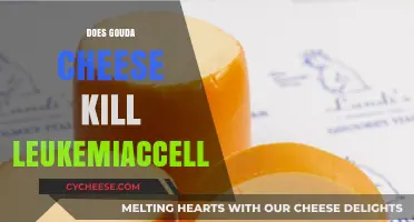 Gouda Cheese and Leukemia: Uncovering the Truth About Cancer-Fighting Claims