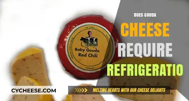 Does Gouda Cheese Need Refrigeration? Storage Tips for Freshness