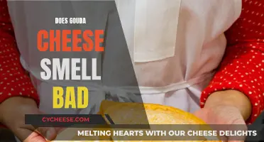 Gouda Cheese: Does It Stink or Not?