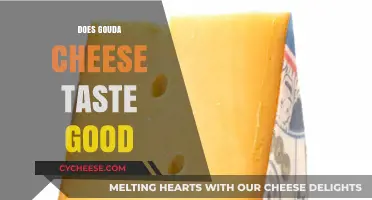 Gouda Cheese: Delicious or Overrated?