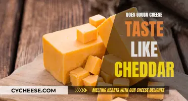 Gouda vs. Cheddar: Unveiling the Flavorful Differences