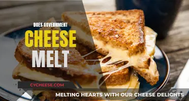 Government Cheese Melting: A Scientific Inquiry