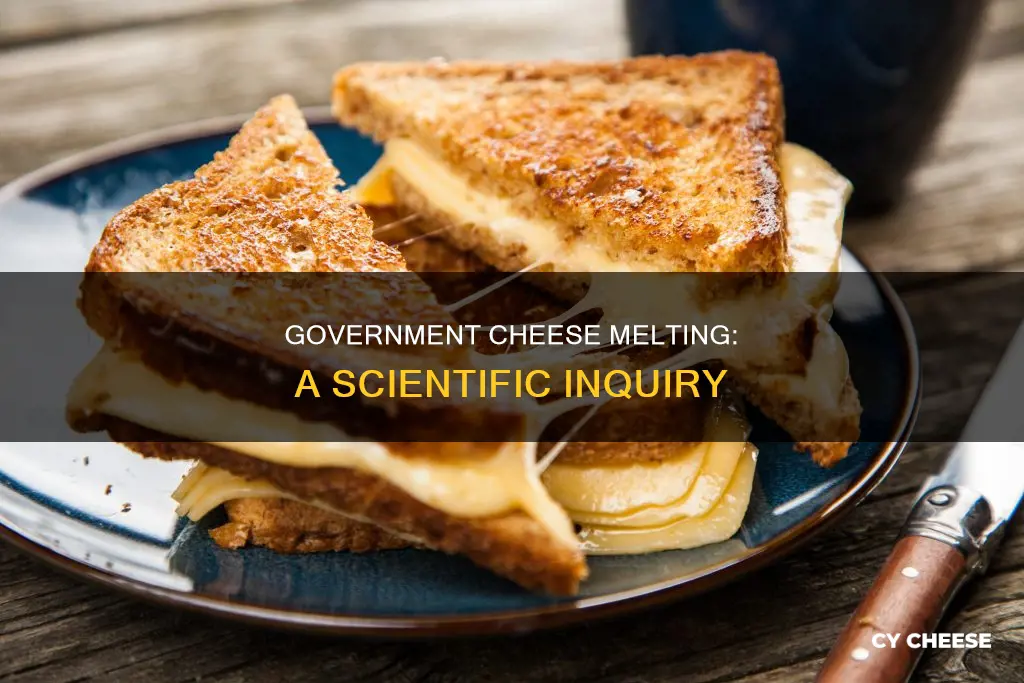 does government cheese melt