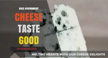 Government Cheese: Delicious or Disgusting?