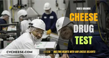 Does Grande Cheese Drug Test? Exploring Employment Policies and Practices