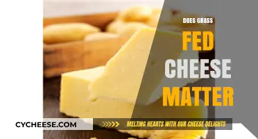 Does Grass-Fed Cheese Matter? Uncovering the Benefits and Flavor Differences
