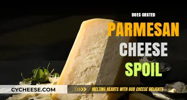 Parmesan Cheese: Does Grated Parmesan Spoil?